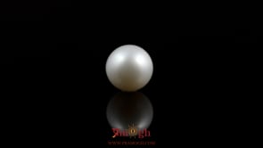 Pearl - 5.85 Carat