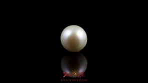 Pearl - 5.55 Carat