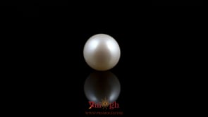 Pearl - 5.4 Carat