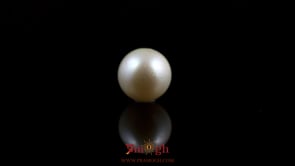 Pearl - 5.4 Carat