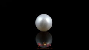 Pearl - 5.9 Carat
