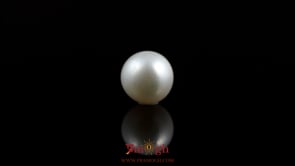 Pearl - 5.8 Carat