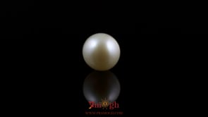 Pearl - 5.65 Carat
