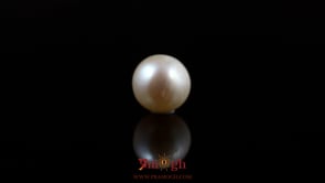 Pearl - 5.4 Carat