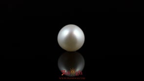 Pearl - 5.75 Carat