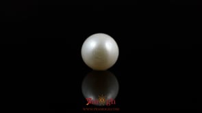 Pearl - 5.65 Carat