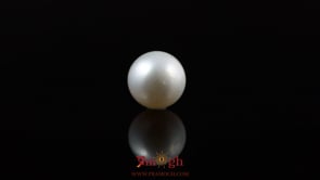 Pearl - 5.65 Carat