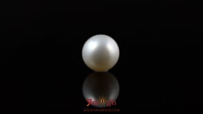 Pearl - 5.65 Carat