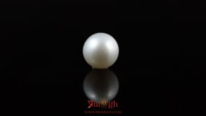 Pearl - 5.25 Carat