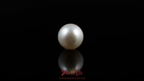 Pearl - 5.55 Carat