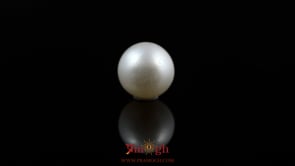 Pearl - 5.2 Carat