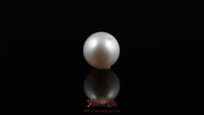 Pearl - 5.55 Carat