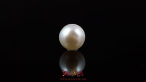 Pearl - 5.25 Carat