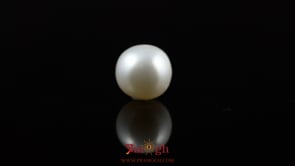 Pearl - 5.85 Carat