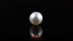 Pearl - 5.45 Carat