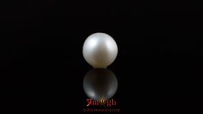 Pearl - 5.8 Carat