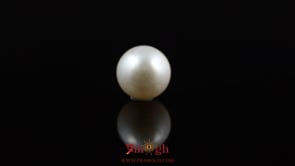 Pearl - 5.55 Carat