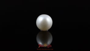 Pearl - 5.6 Carat