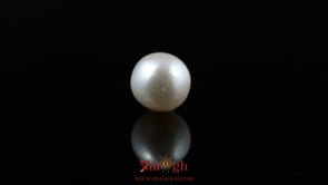 Pearl - 5.5 Carat