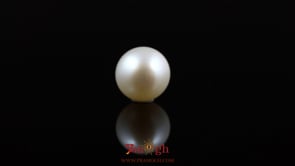 Pearl - 5.2 Carat