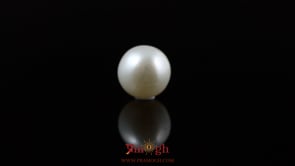 Pearl - 5.5 Carat