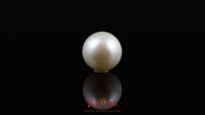 Pearl - 5.9 Carat