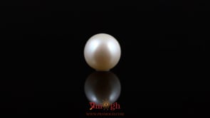Pearl - 5.4 Carat