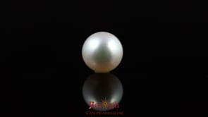 Pearl - 5.5 Carat