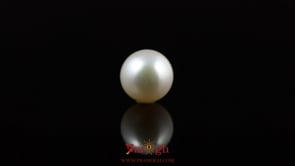 Pearl - 5.65 Carat