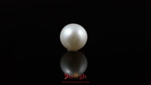 Pearl - 5.2 Carat