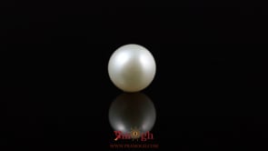 Pearl - 5.55 Carat