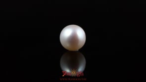 Pearl - 5.25 Carat