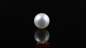 Pearl - 4.85 Carat
