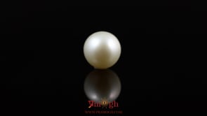 Pearl - 5.05 Carat
