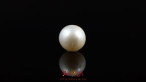 Pearl - 5.4 Carat