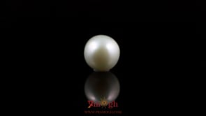 Pearl - 5.5 Carat