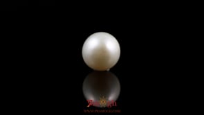 Pearl - 5.9 Carat