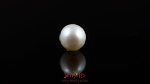 Pearl - 5.15 Carat