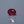 Load and play video in Gallery viewer, Ruby - 5.55 Carat
