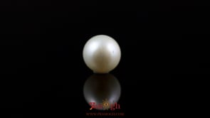 Pearl - 5.6 Carat