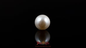 Pearl - 5.25 Carat