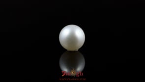 Pearl - 5.1 Carat