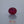 Load and play video in Gallery viewer, Ruby - 3.4 Carat
