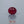 Load and play video in Gallery viewer, Ruby - 3.9 Carat
