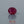 Load and play video in Gallery viewer, Ruby - 3.7 Carat
