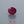 Load and play video in Gallery viewer, Ruby - 2.8 Carat
