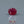 Load and play video in Gallery viewer, Ruby - 3.7 Carat
