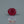 Load and play video in Gallery viewer, Ruby - 3.6 Carat
