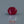 Load and play video in Gallery viewer, Ruby - 4.4 Carat
