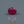 Load and play video in Gallery viewer, Ruby - 3.6 Carat
